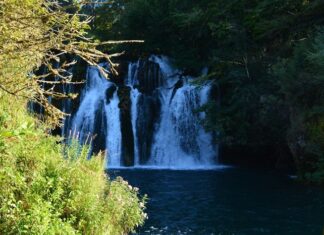 Ottoman Empire Social Problems and Political Corruption