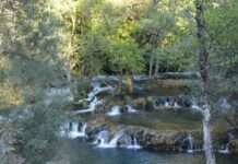 Prayers Outside the Mosque