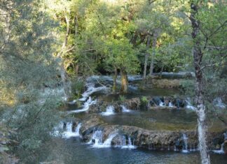 Prayers Outside the Mosque