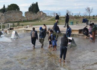 Development of Drugs and Specialized Medical Care in Bulgaria